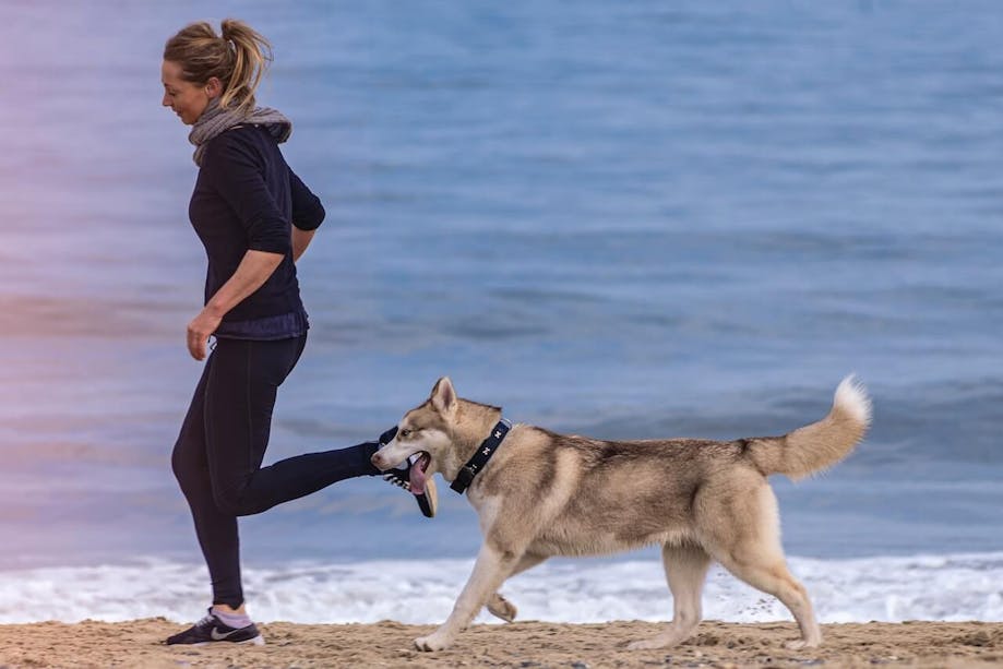 Woman running on beach with dog