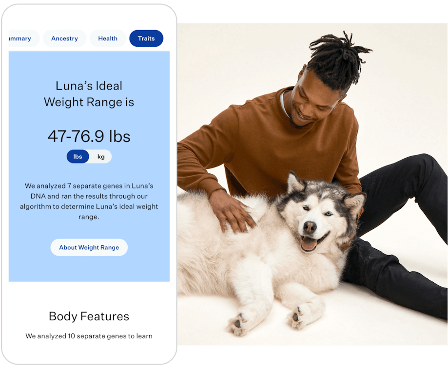 Example of Wisdom Panel™ ideal adult weight range predictions