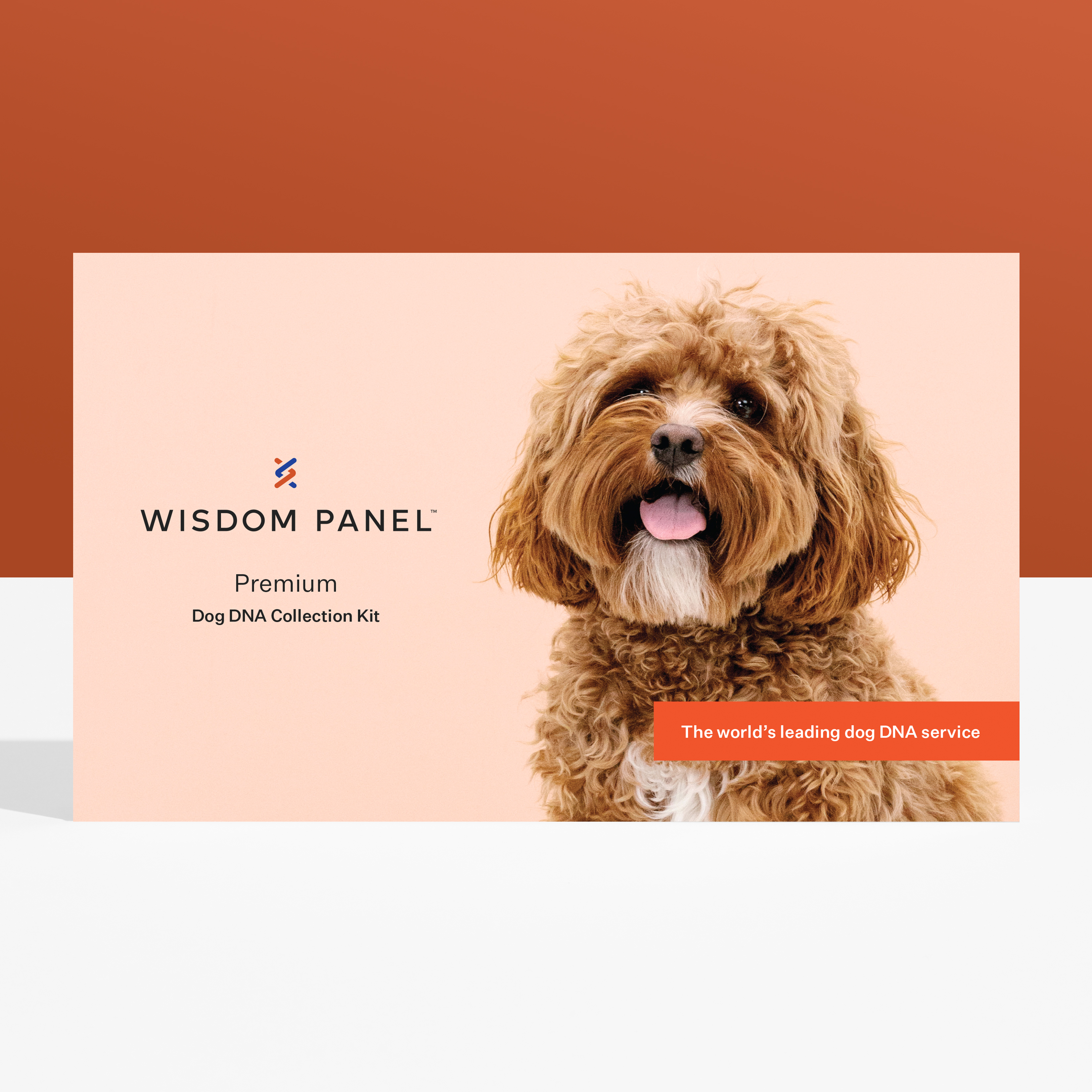 wisdom panel for dogs