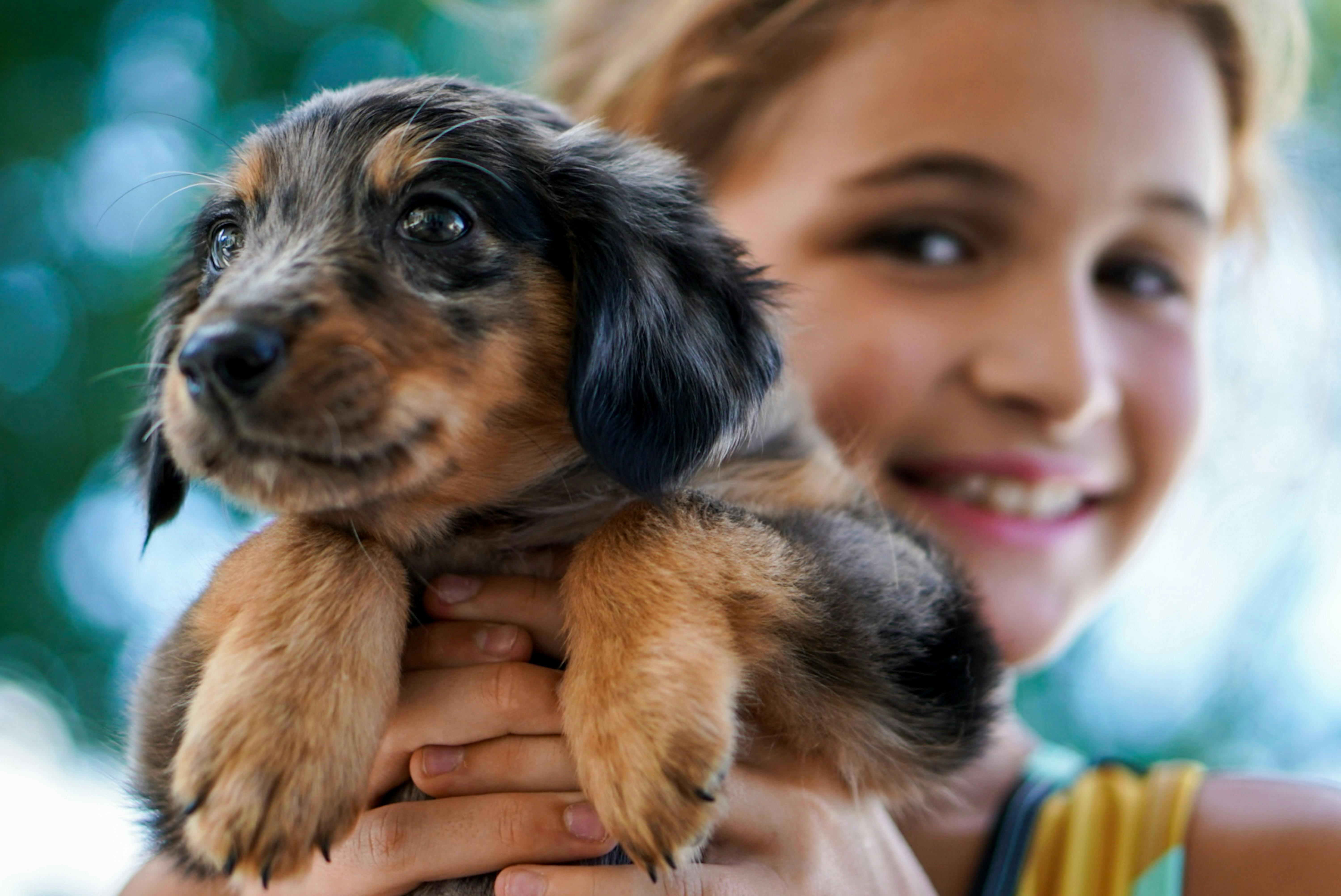 Girl smiling while holding a small dog puppy.
