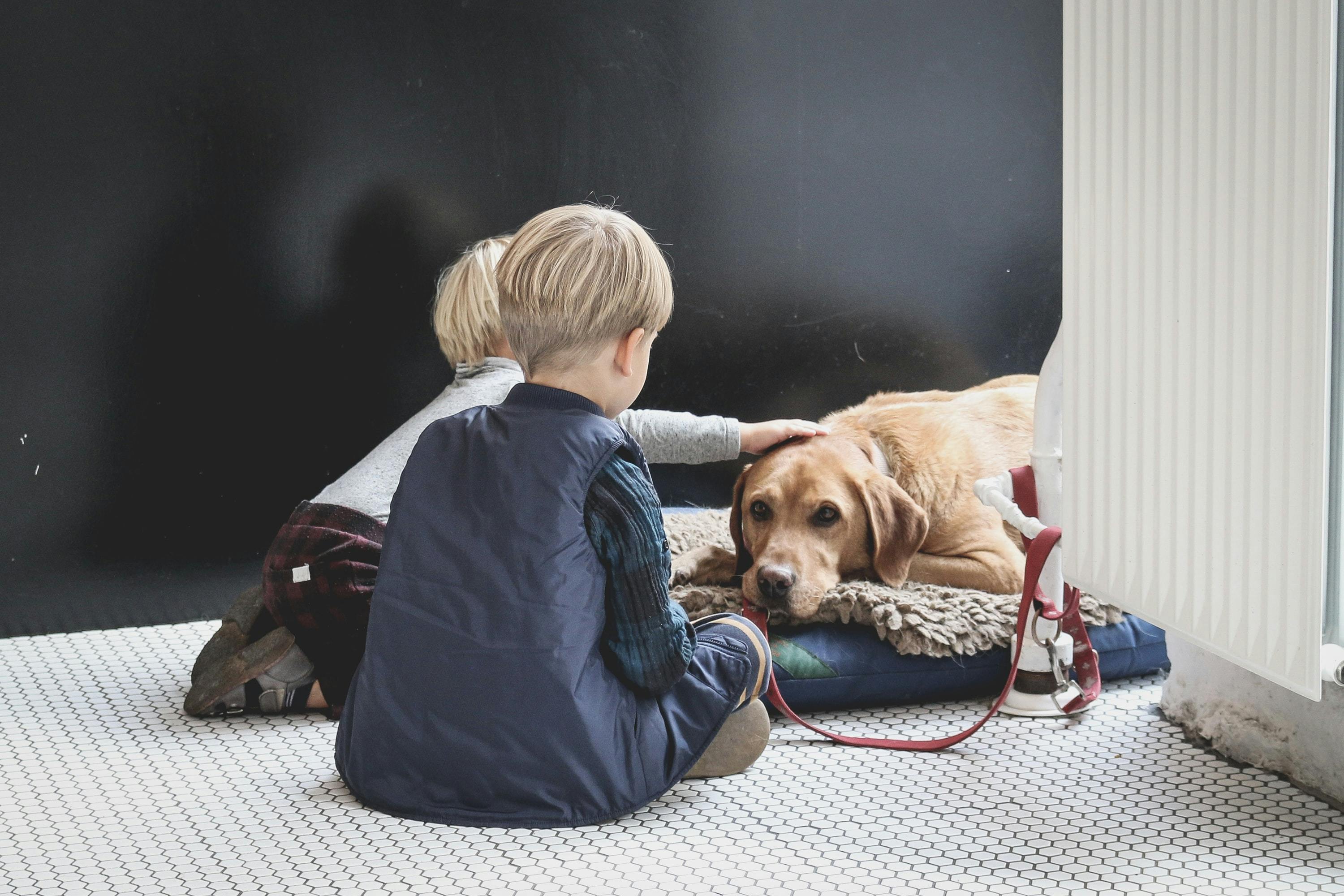 Two kids sitting on the floor petting the dog while he is laying on the bed.