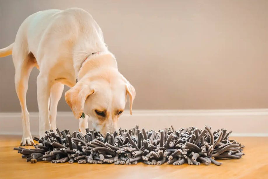 Friendly Barkz Snuffle Mat for Dogs, Cats - 25'' Dog Snuffle Mat
