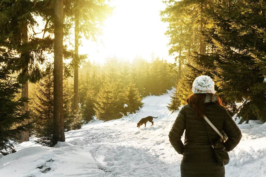 Woman walking her dog in the woods in the middle of the snow.