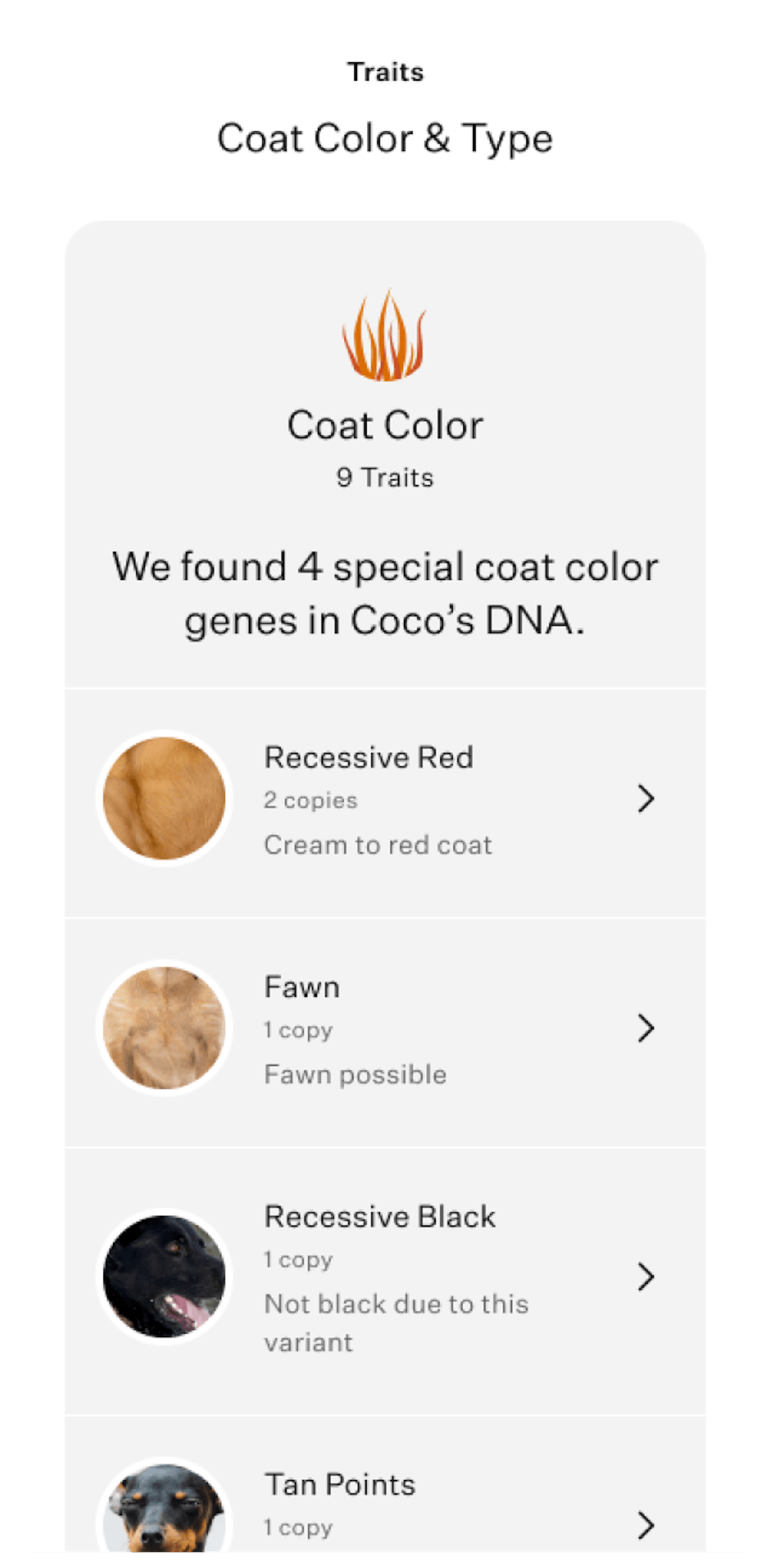 Wisdom Panel™ Premium dog DNA test Most accurate breed detection