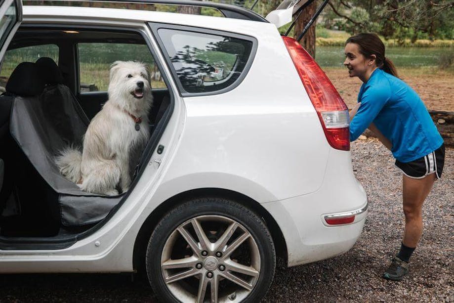 Woman loading her dog into her car
