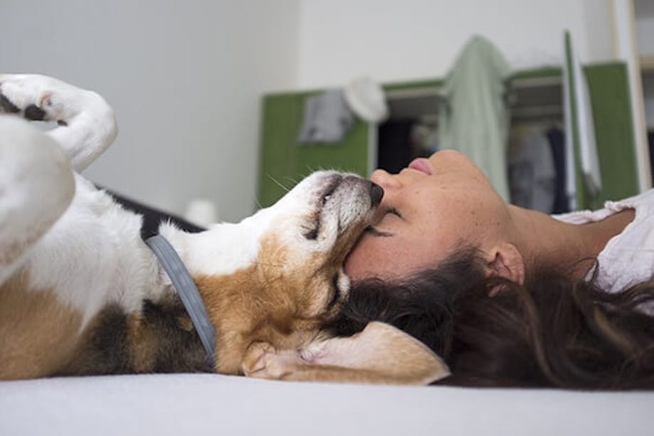 Woman lying with dog