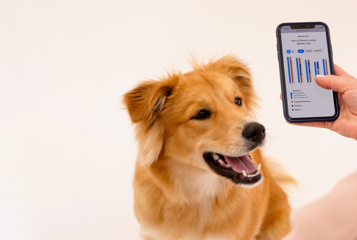 Woman viewing Chromosome Browser on phone while a dog looks on.
