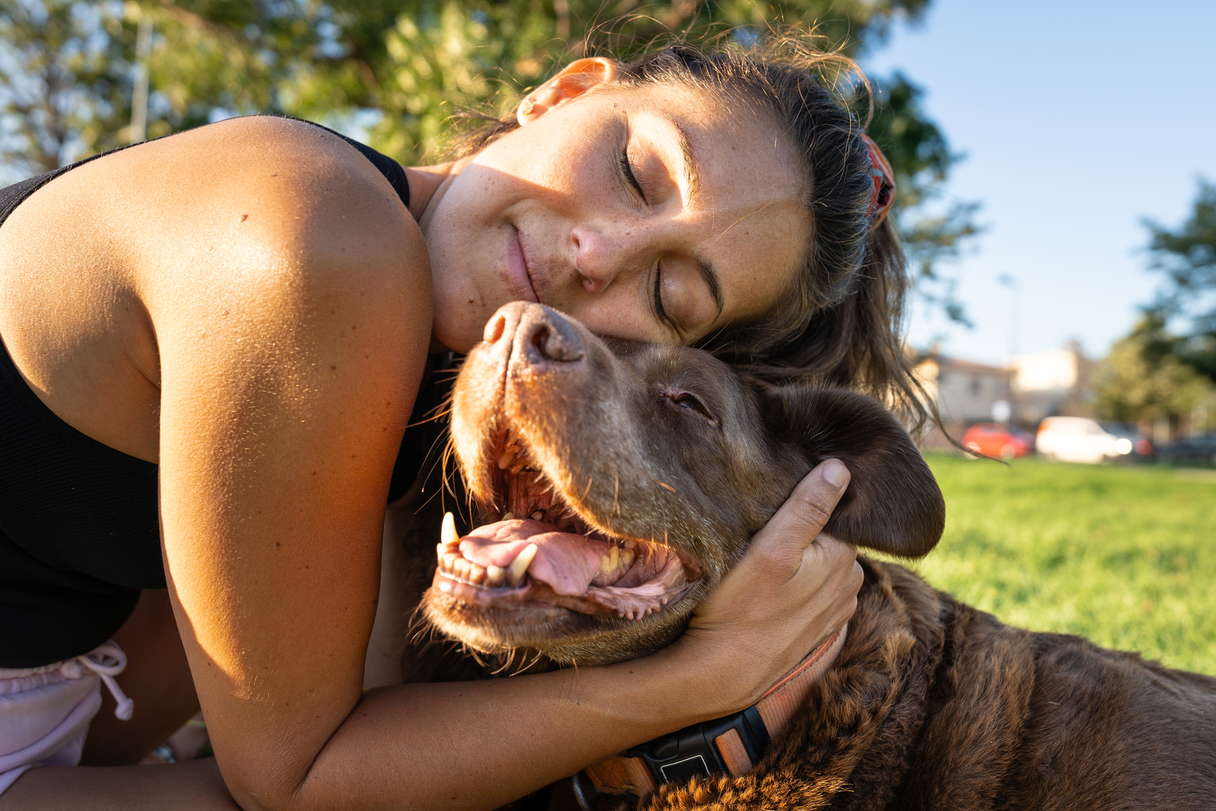 Dog breeds best sale prone to hypothyroidism