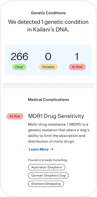 Wisdom panel genetic outlet testing