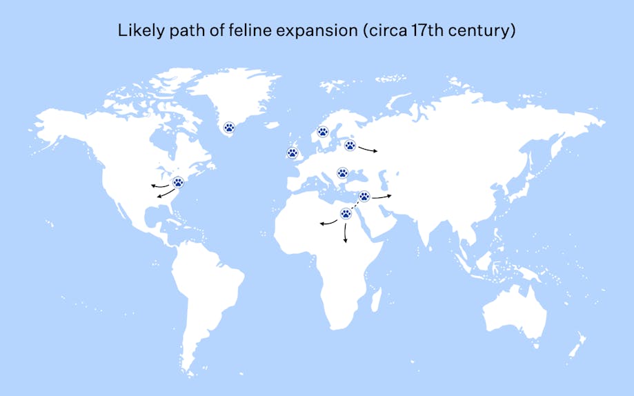 Map showing likely path of feline expansion (circa 17th century)