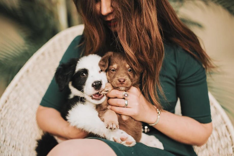 Top 200 Male and Female Dog Names - Popular & Unique Top 200 Male and Female Dog Names - Popular & Unique