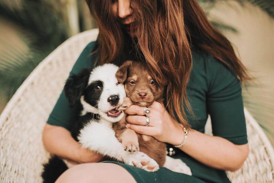 A lady carrying two dogs