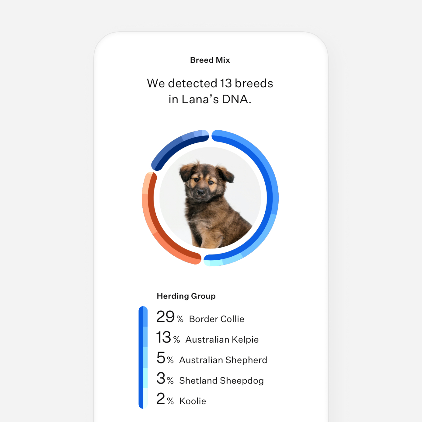 Dna store report dog