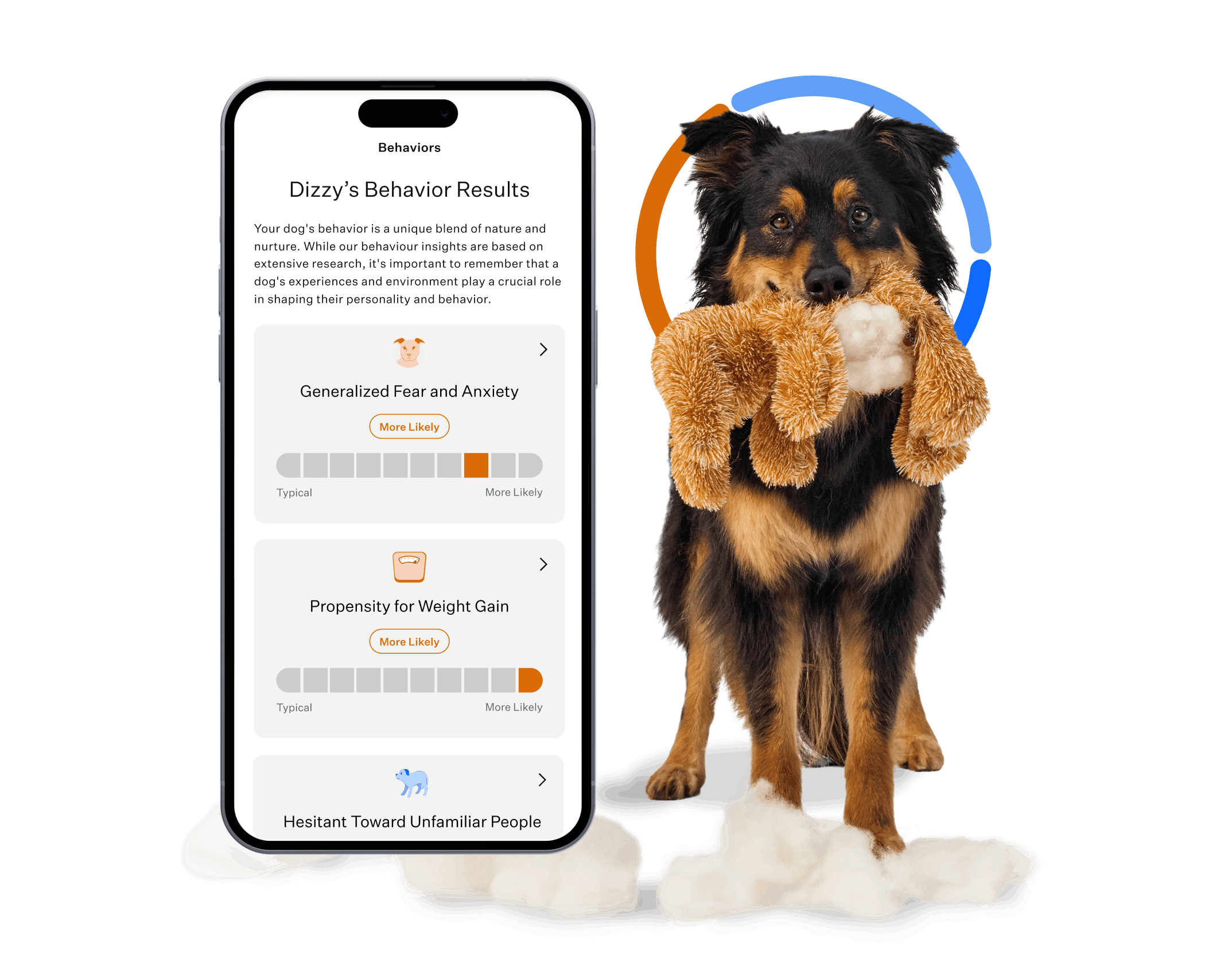 Mixed breed dog holds a toy in their mouth next to a screen of DNA behavior results