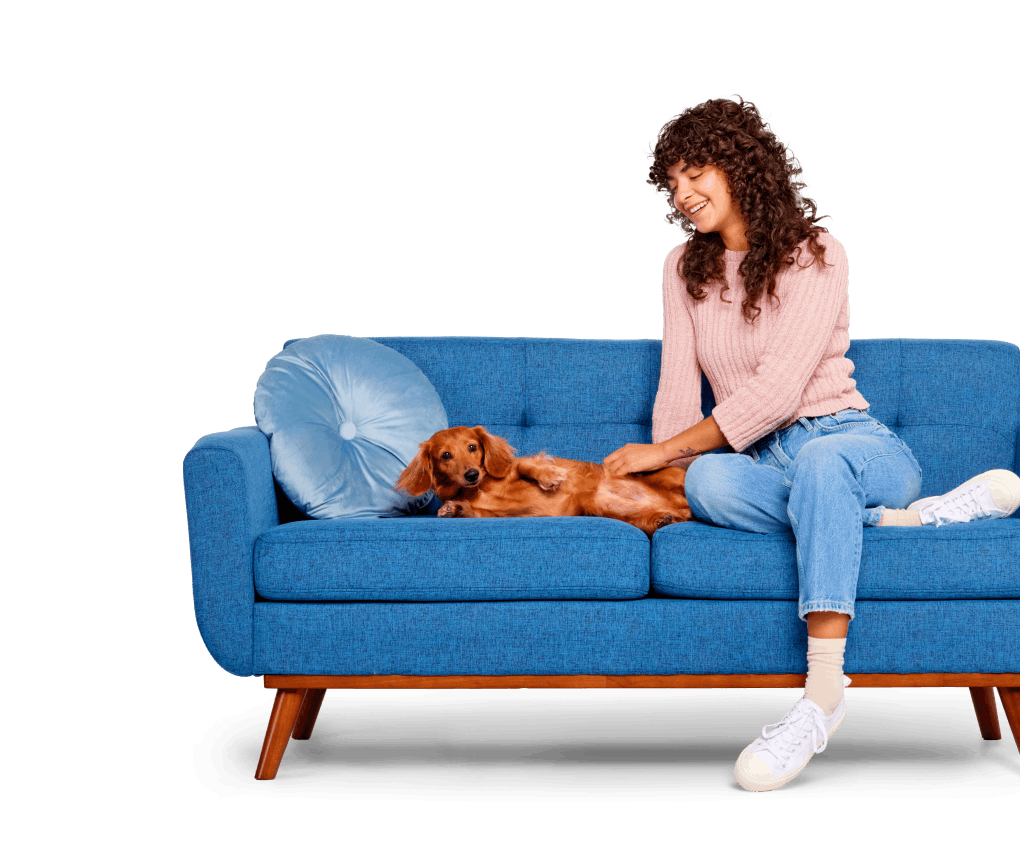 Girl with cute brown Dachshund puppy on blue couch
