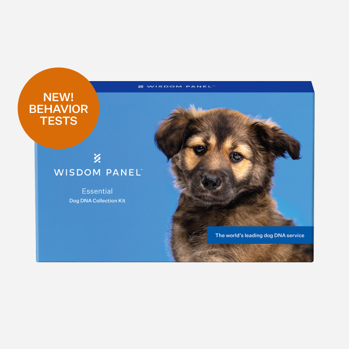 Wisdom health dog dna shops reviews