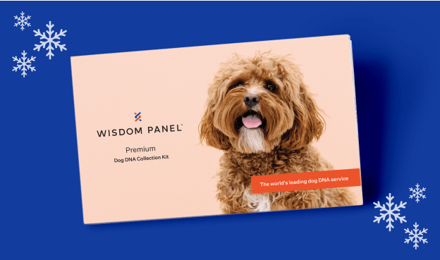 Wisdom Panel Premium dog DNA test collection kit