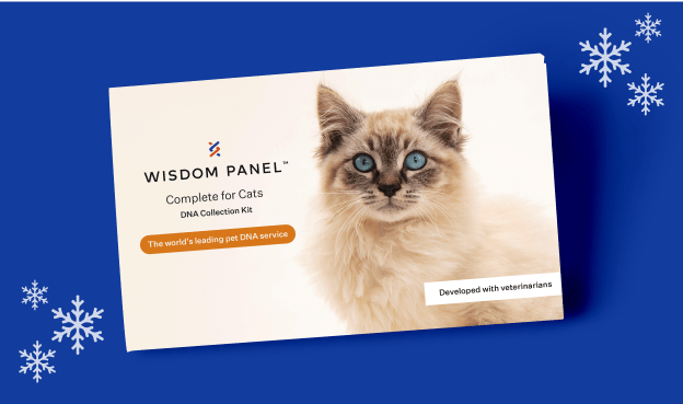 Wisdom Panel™ Complete for Cats DNA collection kit