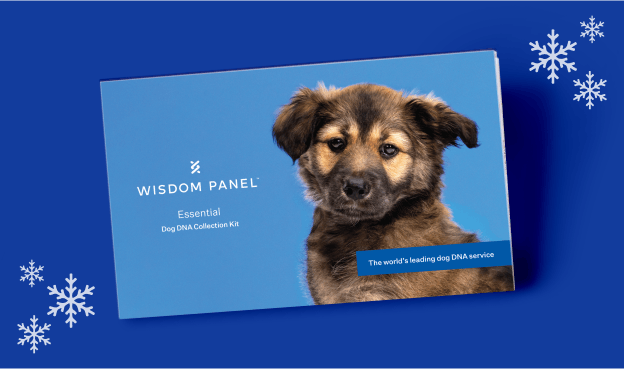 Wisdom Panel Essential dog DNA test collection kit