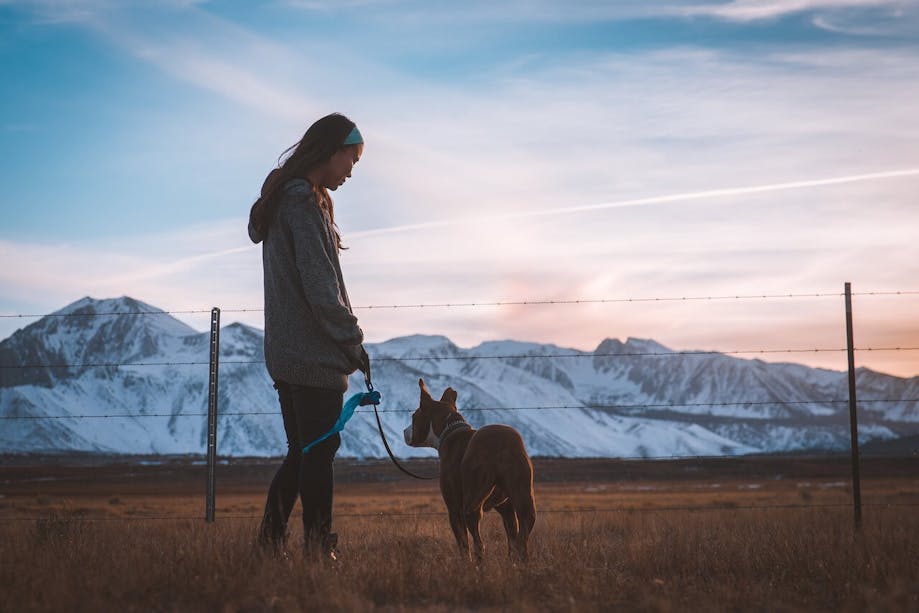 Parent and their pup on a winter dog walk