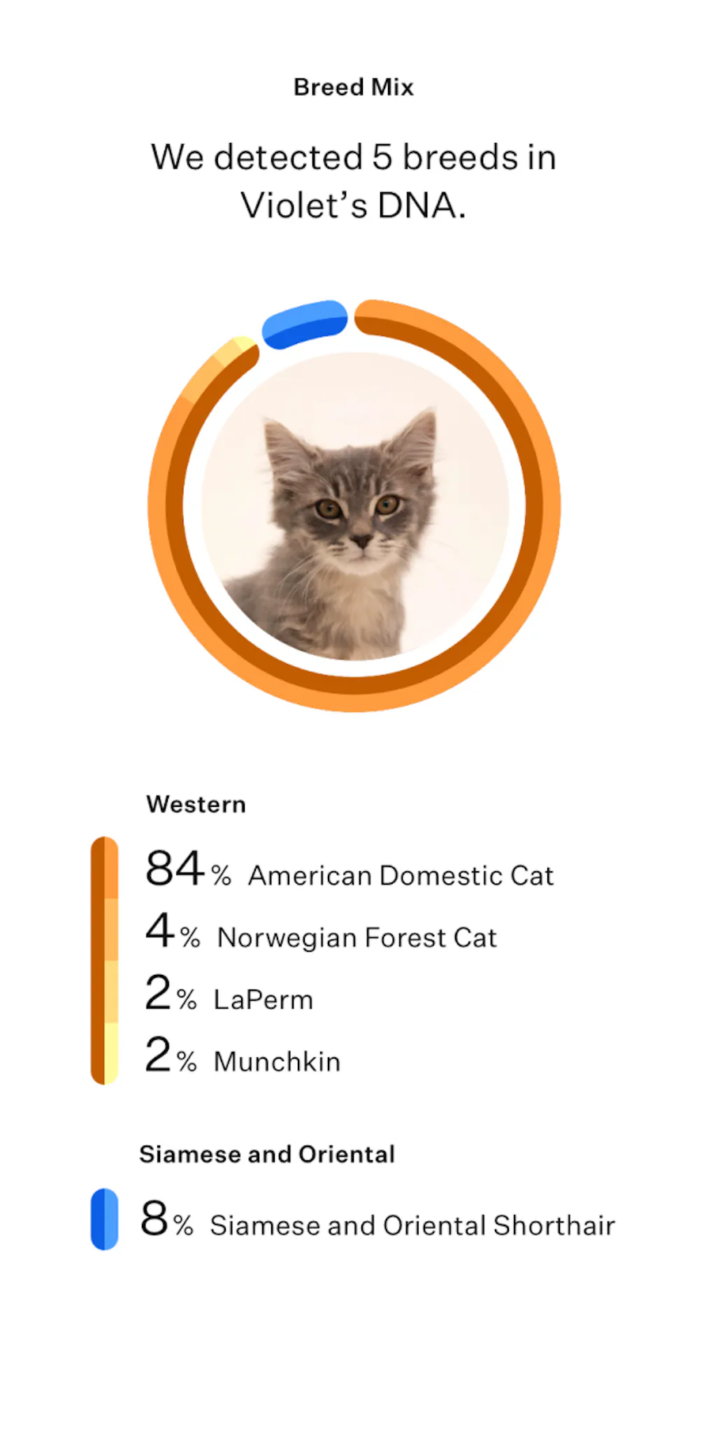 Shop cat DNA tests | Wisdom Panel™ Complete for Cats