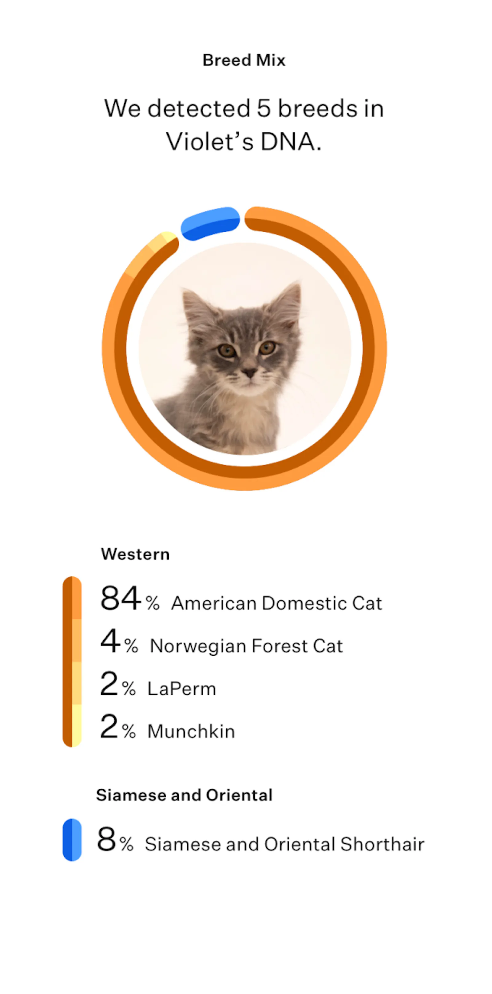 Shop cat DNA tests | Wisdom Panel™ Complete for Cats