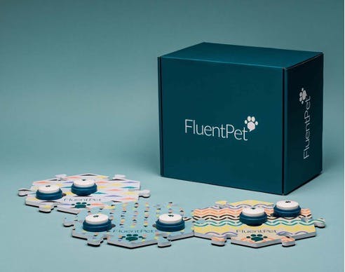 FluentPet box with talking buttons displayed in front
