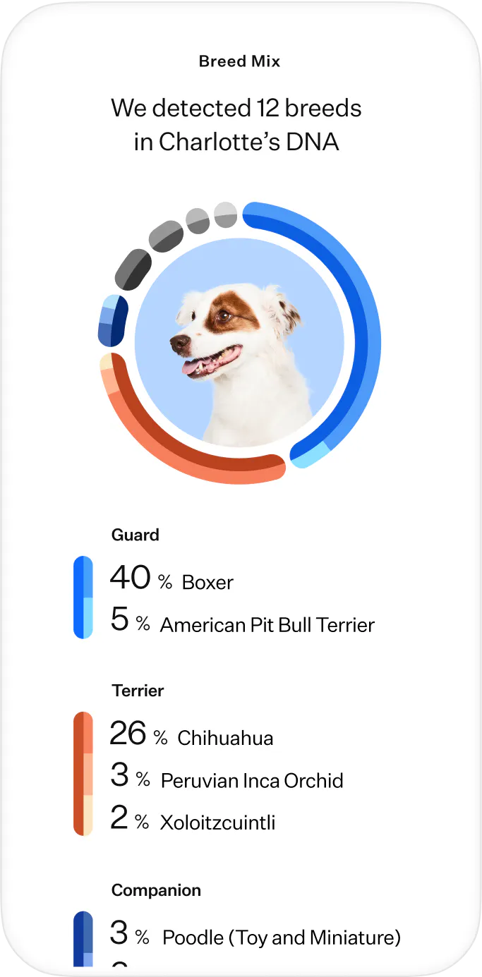 5 Things To Know About Dog Dna Test Kit Wisdom Panel – SHTI