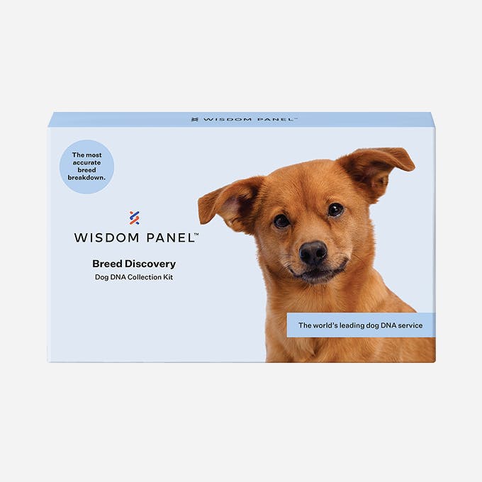 Breed Discovery Dog DNA Test by Wisdom™ Most accurate dog breed test
