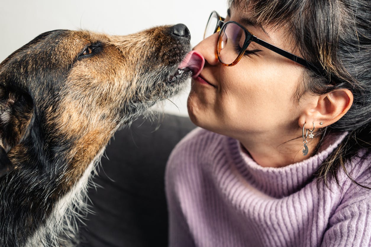 Dog licking a woman's face.