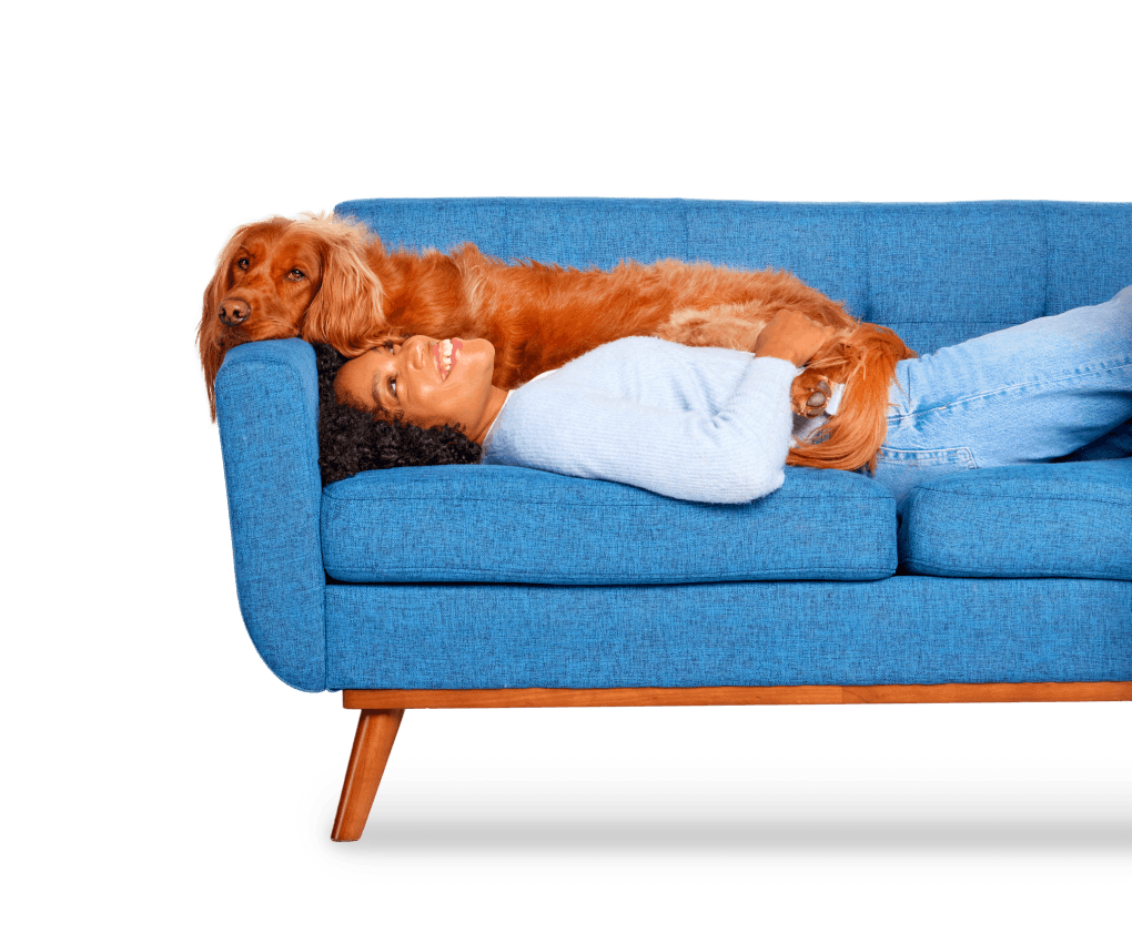 Cute Retriever mixed breed dog laying with female pet owner