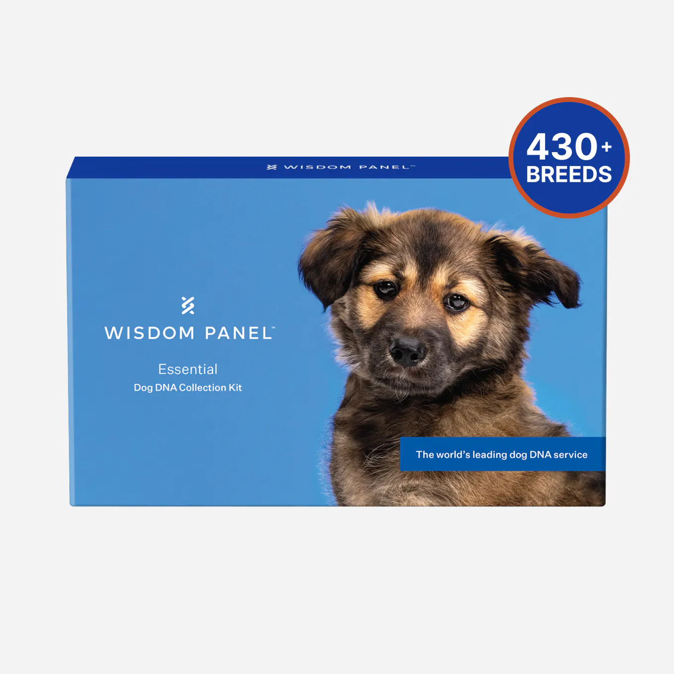 Wisdom Risco Panel Wisdom Panel™ Essential Dog DNA Test Kit | Know your whole dog with the ...
