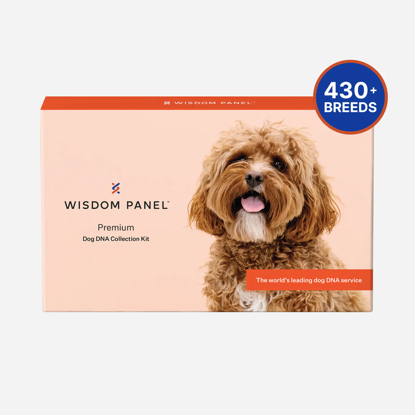 Wisdom Risco Panel Wisdom Panel™ Premium | The most accurate dog DNA test