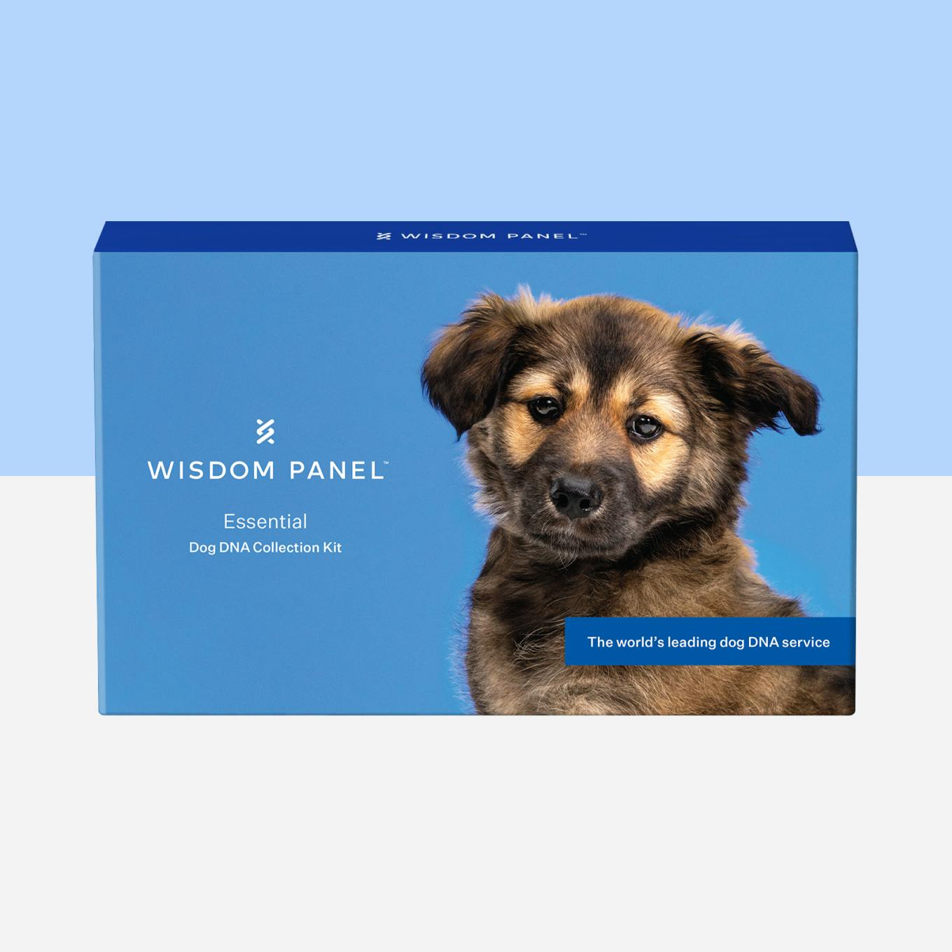Wisdom Panel Essential dog DNA test collection kit