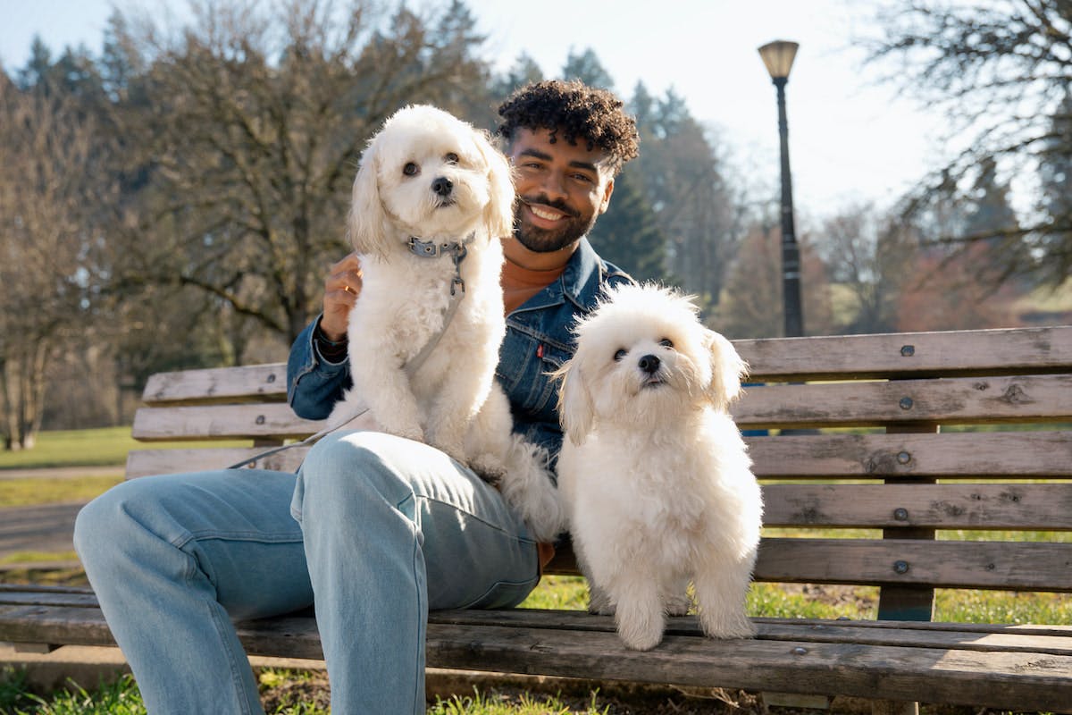 Man sitting on a bench with his dogs