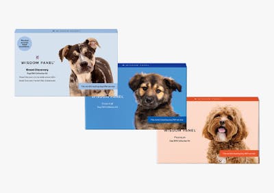 Wisdom panel shop uk discount