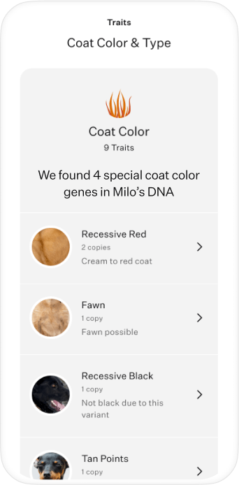 App Mock (3).png