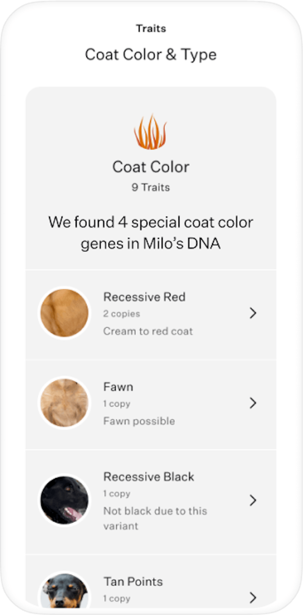 Wisdom Panel™ Essential dog DNA test Most accurate dog breed test