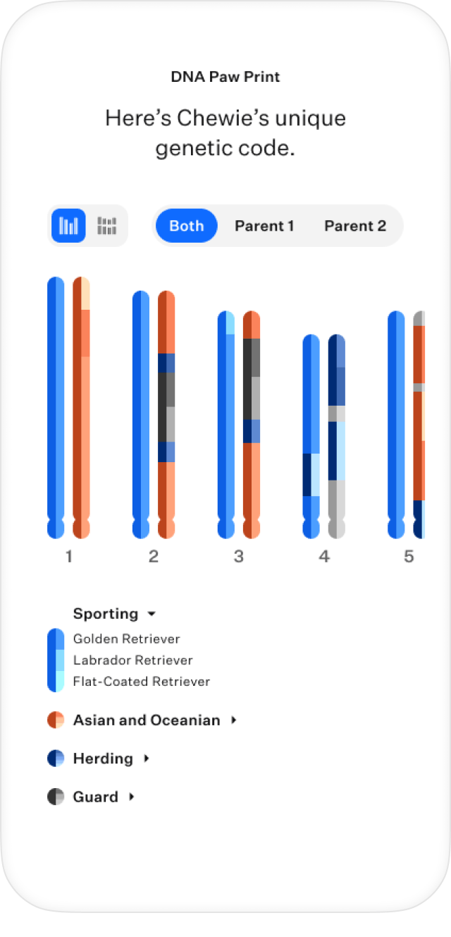 Chromosome browser DNA results