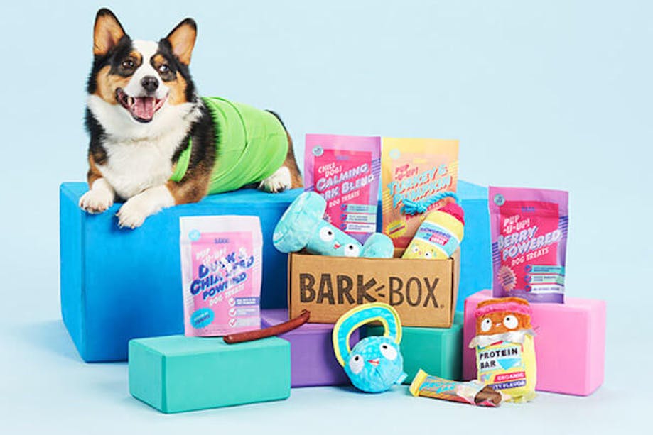 BarkBox dog subscription box