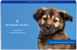 Wisdom panel dog shop dna test kit