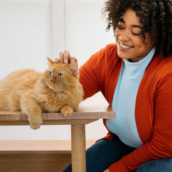 Woman smiling at orange cat