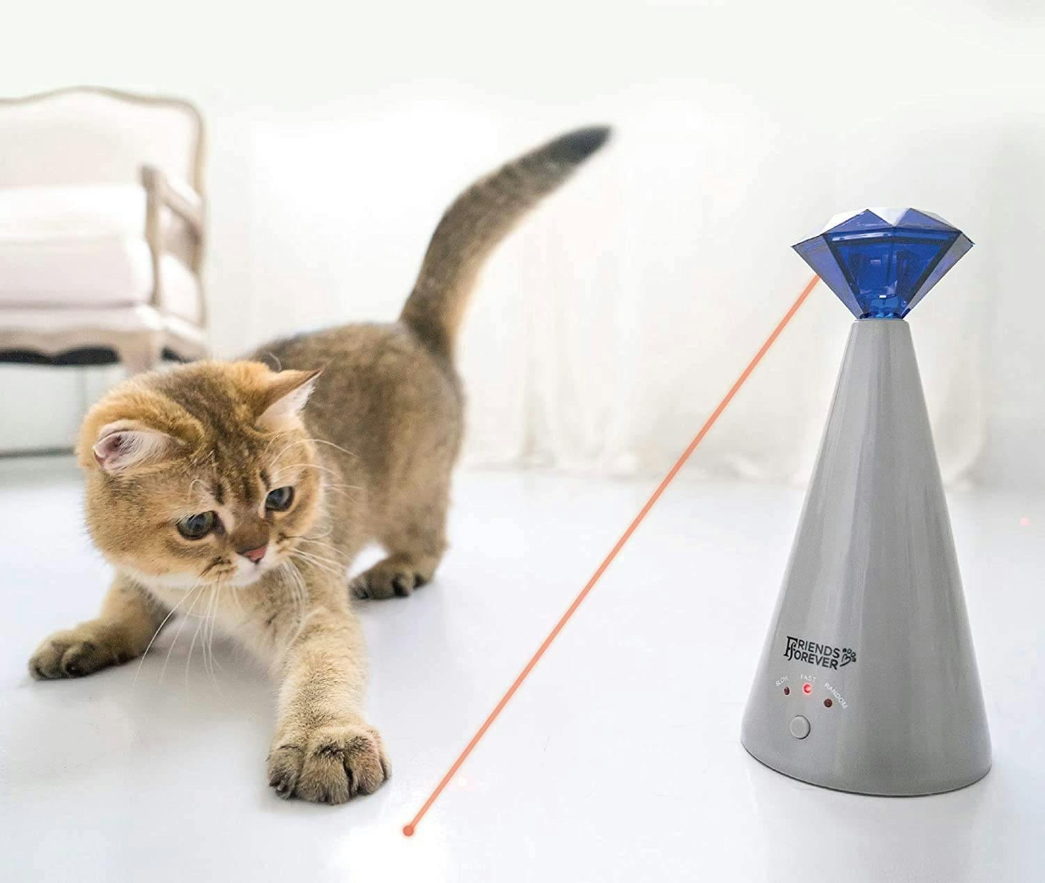 Cat playing with laser toy