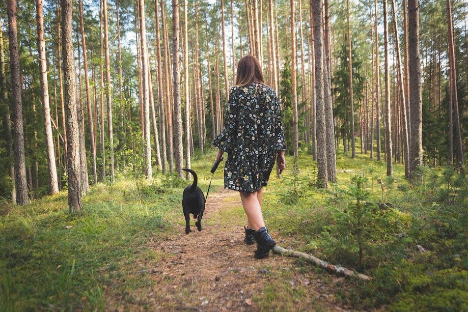 Woman walking dog in the woods
