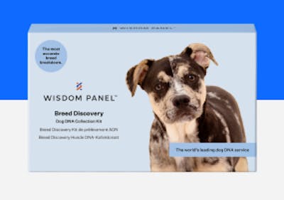 Wisdom Panel™ Breed Discovery DNA test
