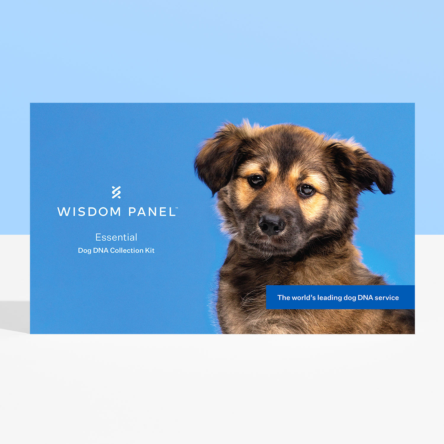Dog DNA Test | Wisdom Panel Essential