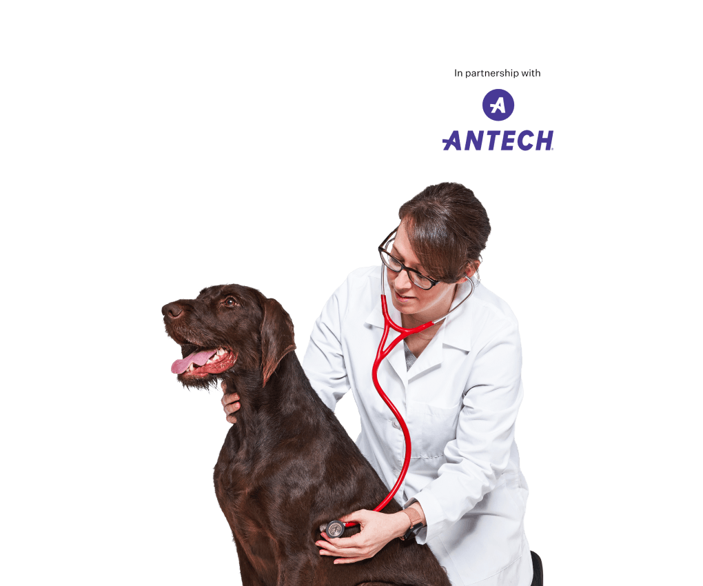 Border Collie Health Panel  Veterinary Genetics Laboratory