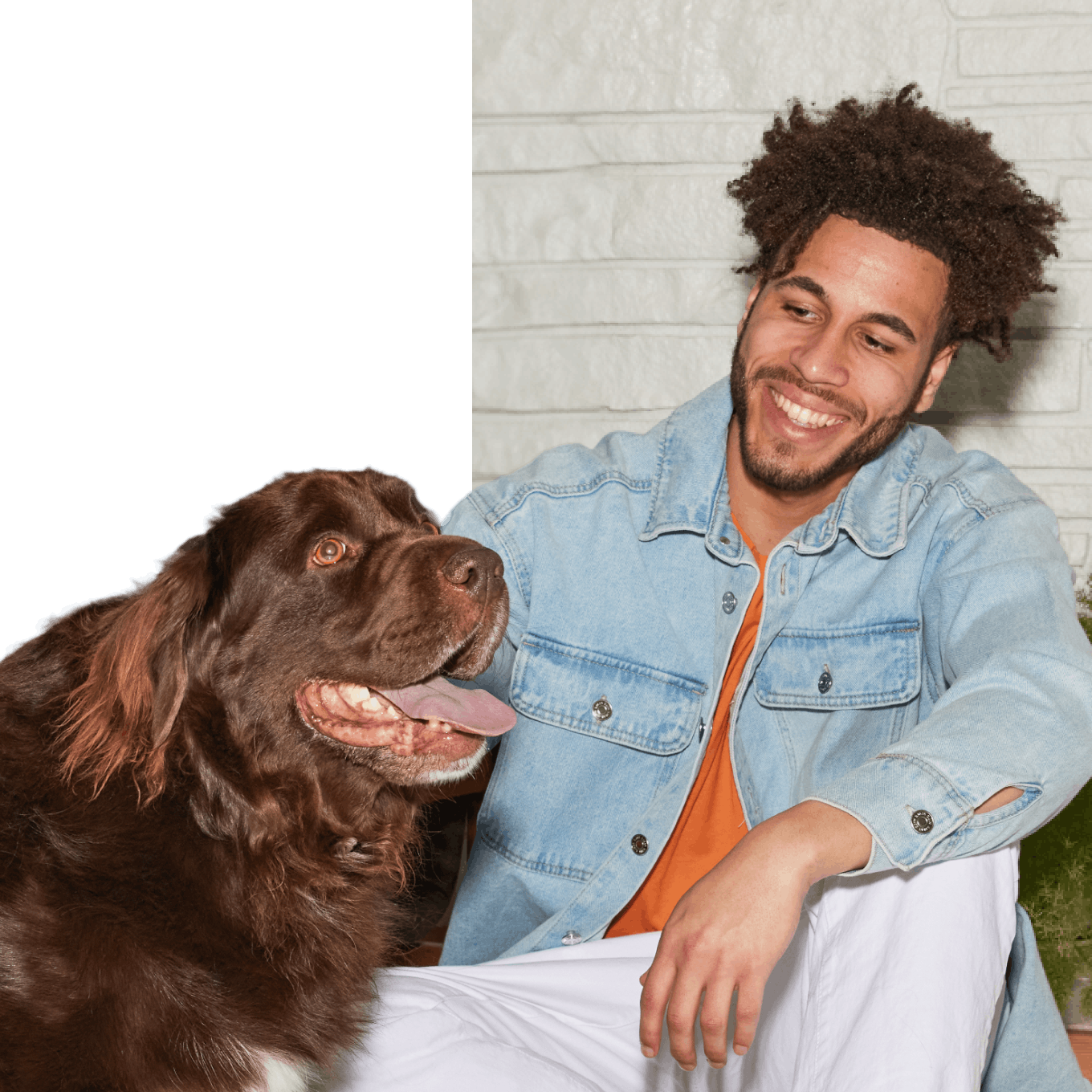 A man hanging out with with a big brown dog