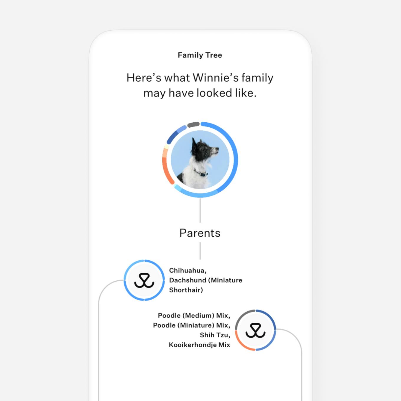 Dog DNA test family tree