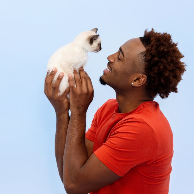 Man holding and looking at a kitten